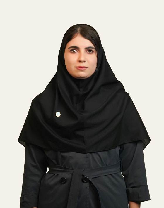 تیم تدبیرنگر تیم تدبیرنگر